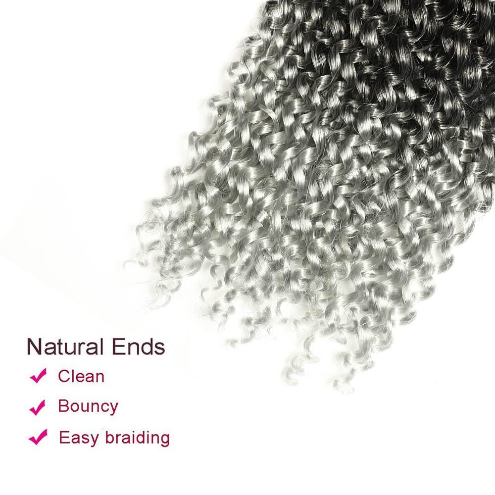 imageUbeleco Passion Twist Hair 18 Inch 6 Packs x22 strands pack132 Strands Full Head Water Wave Crochet Hair Long Curly Braiding Hair Spring Twist Braids Hair Extensions for Black Women1BGray